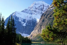 巴西对阵法国，谁才是足球赛场的终极王者？